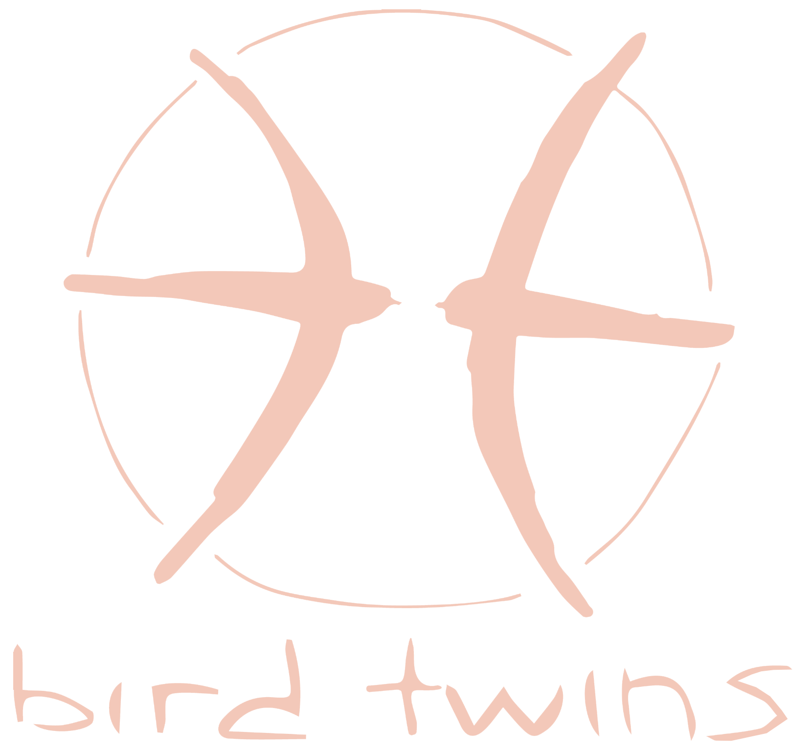 logo-bird-twins-web-brd